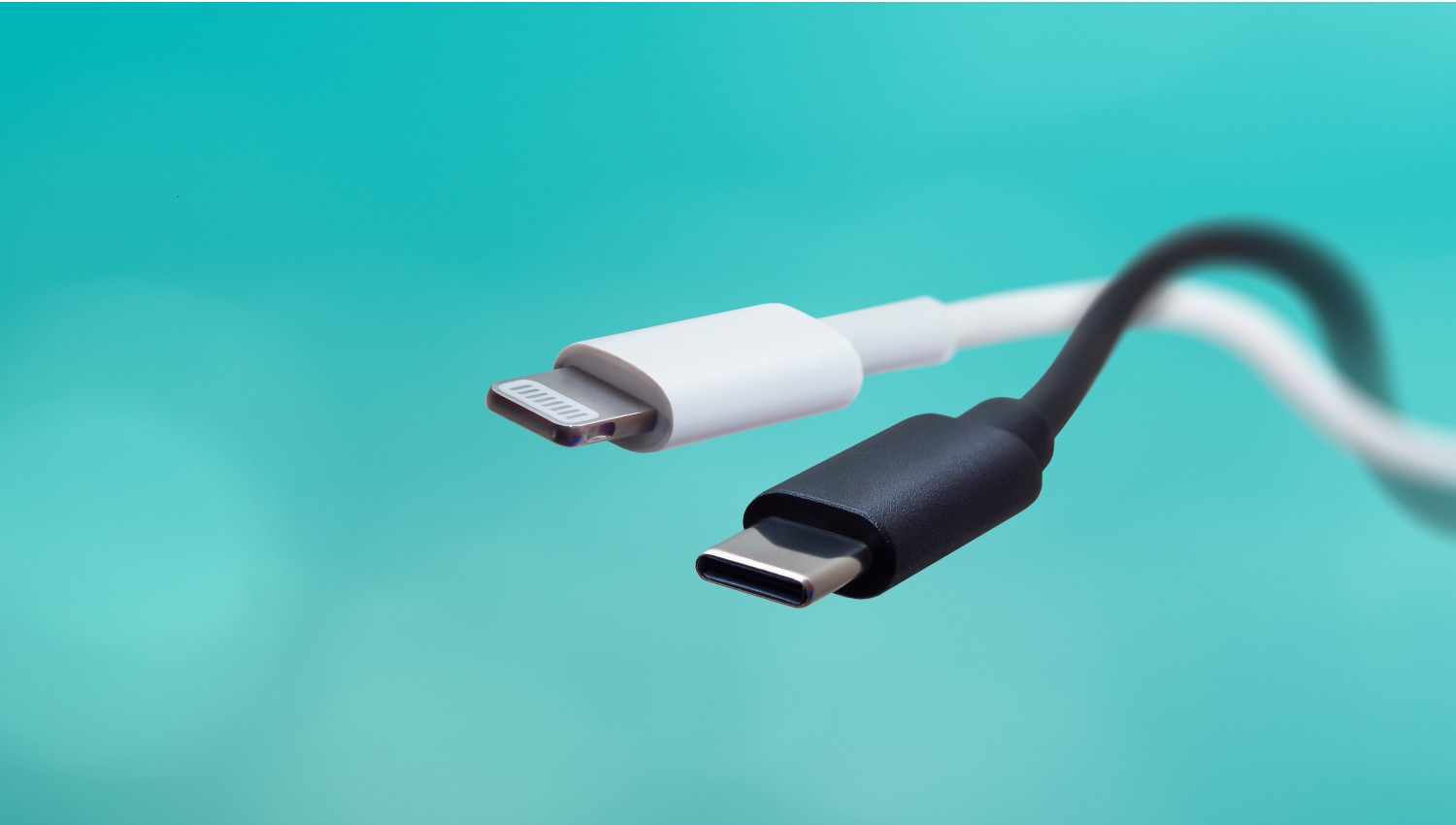 Un cable lightning y uno USB C enredados